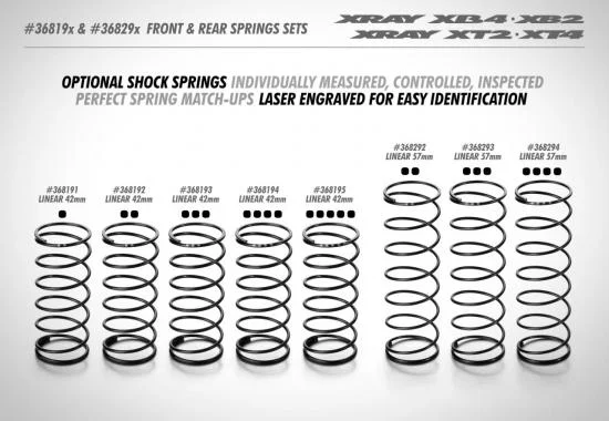 XRay Front Spring Set L=42mm - 5 Dots (2) — image 3 of 4