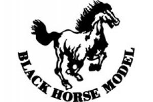 Black Horse