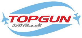 Top Gun logo
