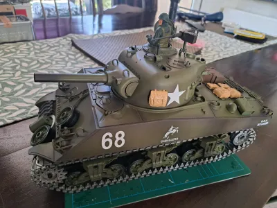 Customer review photo